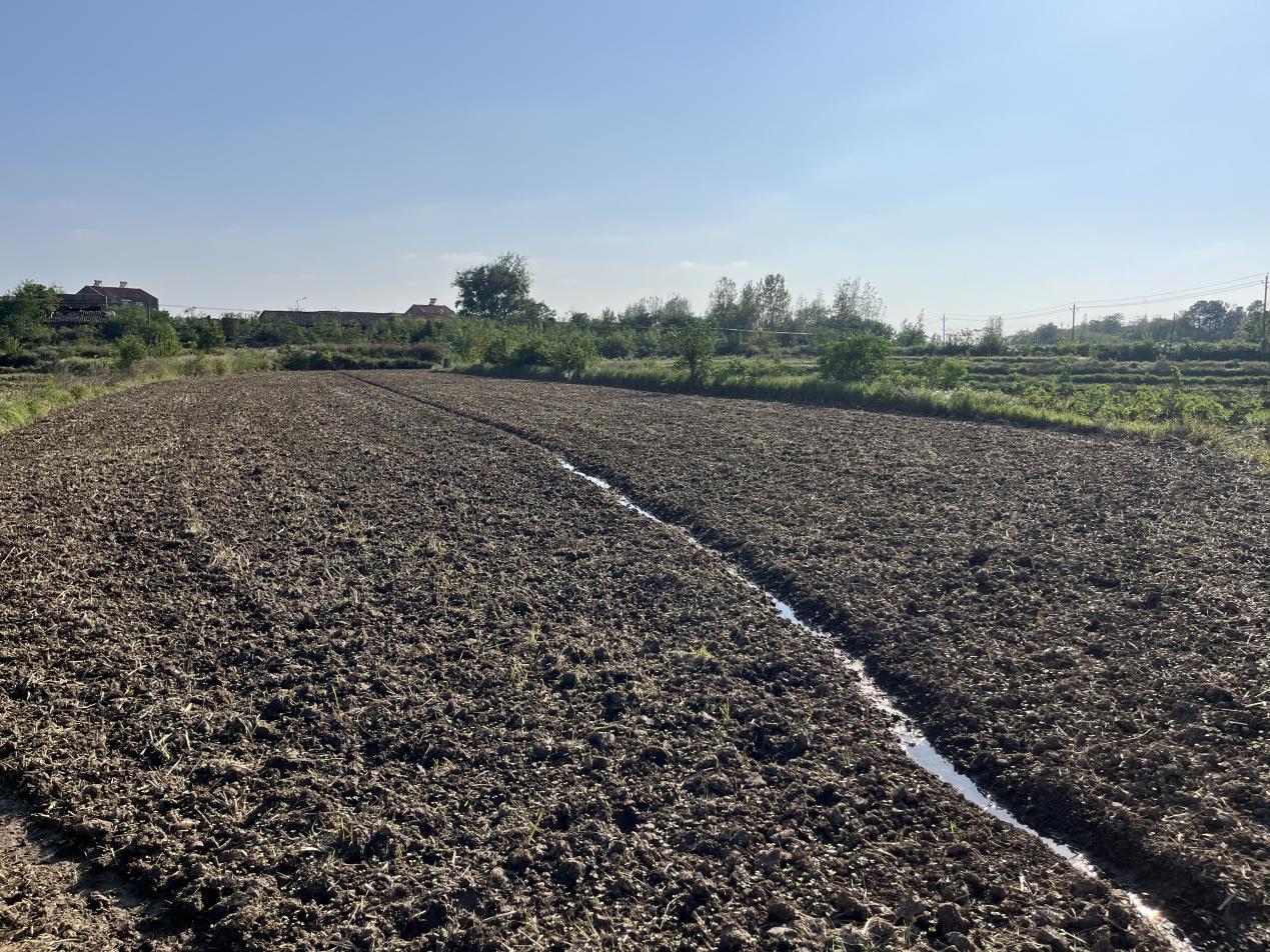 47fdd3aeef763bacb71040ee824f50d