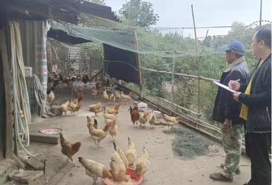 fe06c664ee830fe5862e84d16fe6b6c7