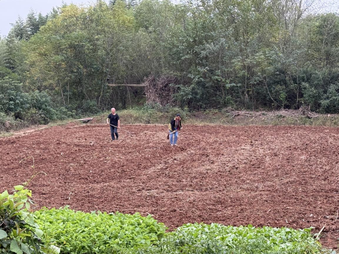 微信图片_20251021113443_397