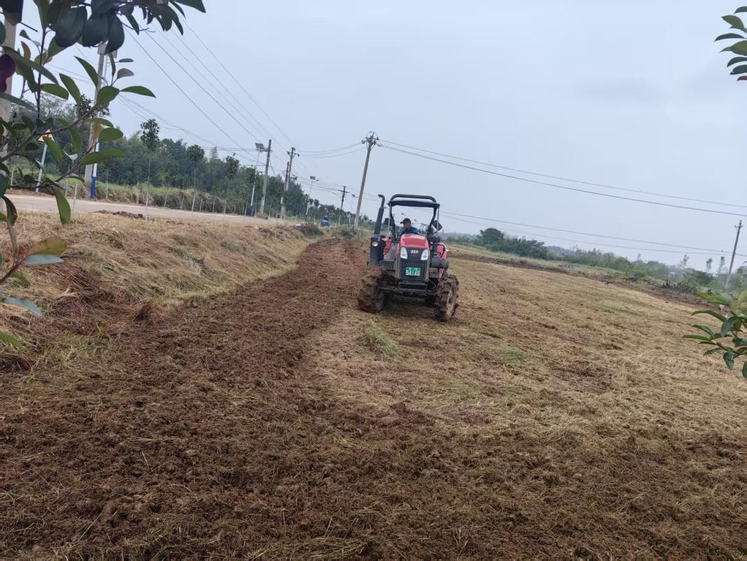 278a370fa5fde653a21beb8562db2ffd