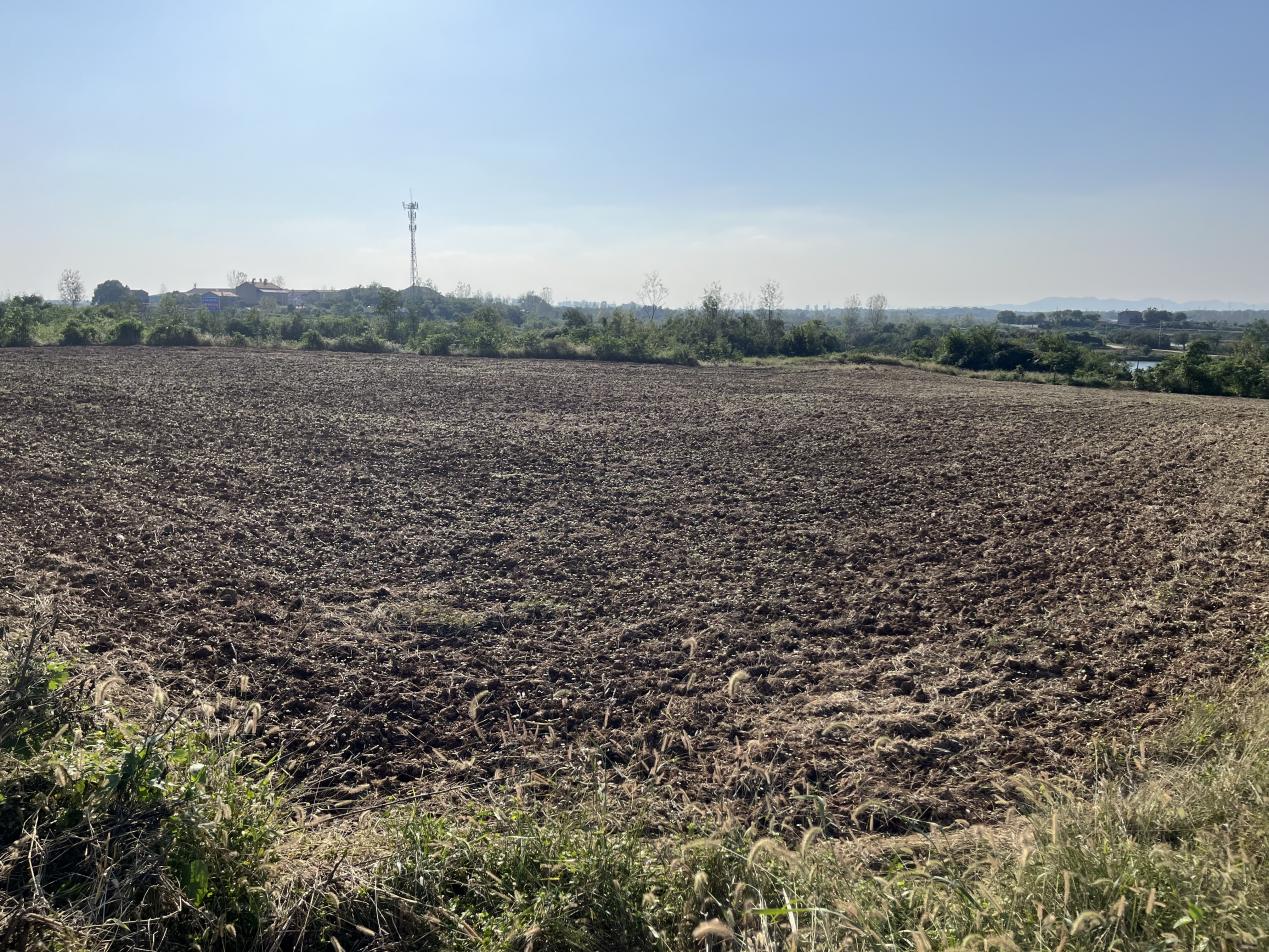 aee97746b1b4761297c83c71fc7c360