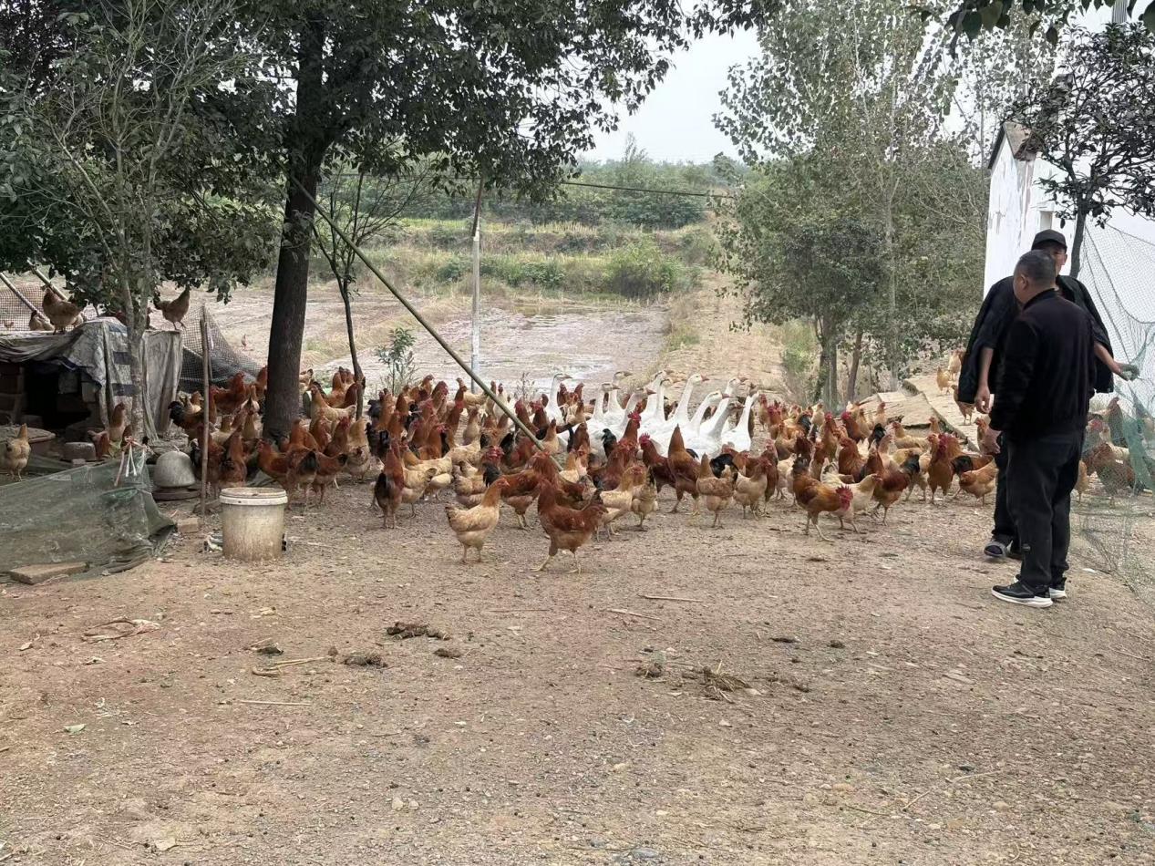 936393656656822e801f3391faeab0c3