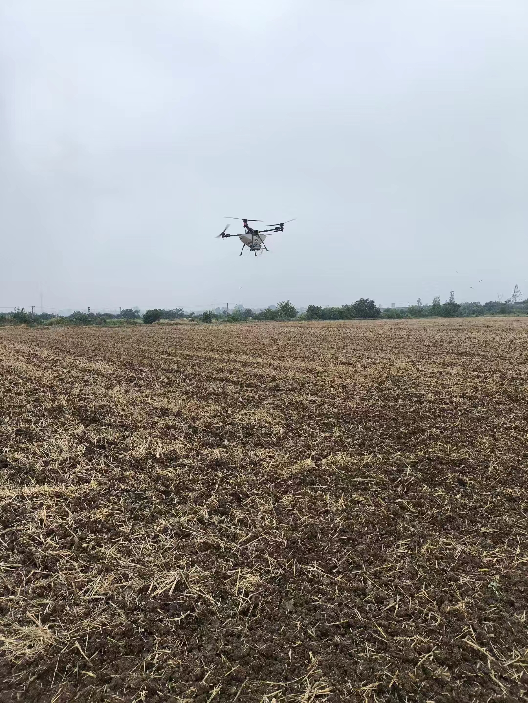 8110ecd42a77d9c9cd1034d685988bad