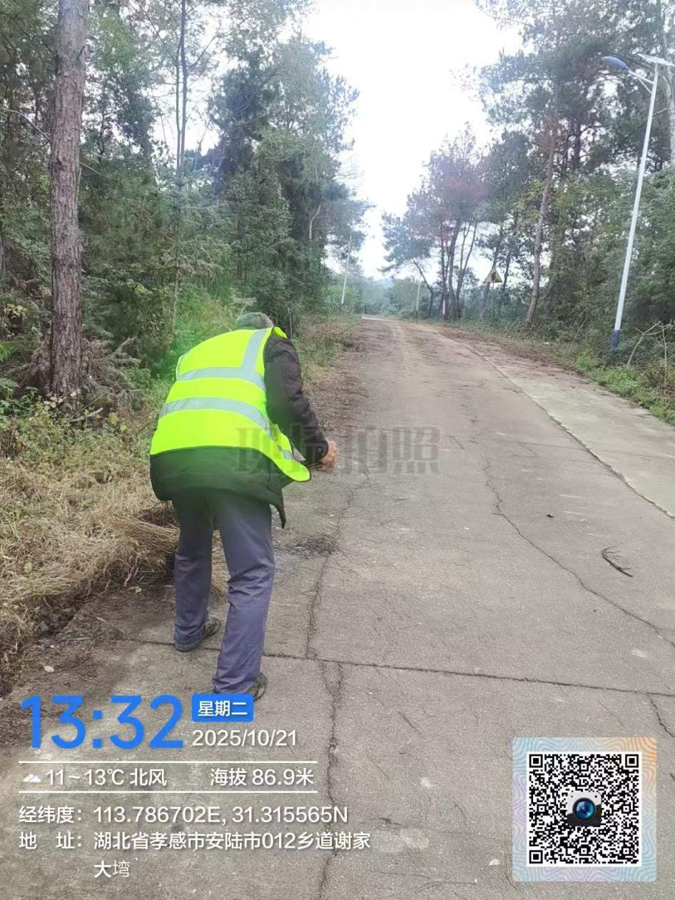 c7d6a5de8bcf048a11b5a30e72e78712