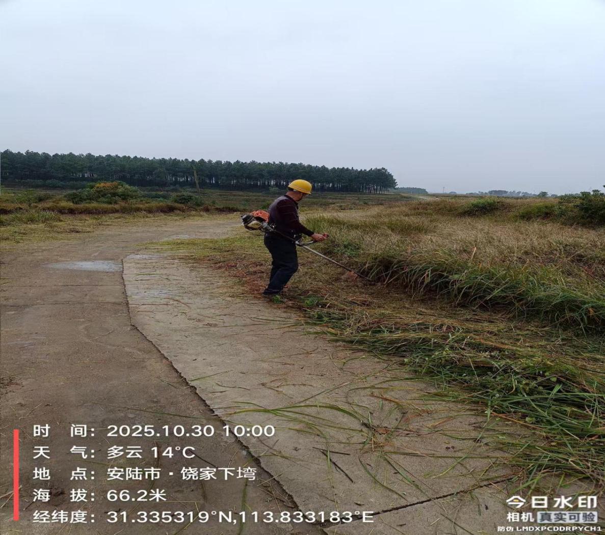 193bacf663b6302a4449756e7502a31f