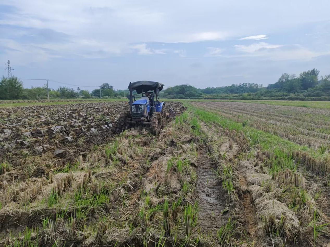 732da511517a2bfd4395b7299fe8099