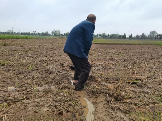 d0fe2b486e4de77653a96e619587d4ad