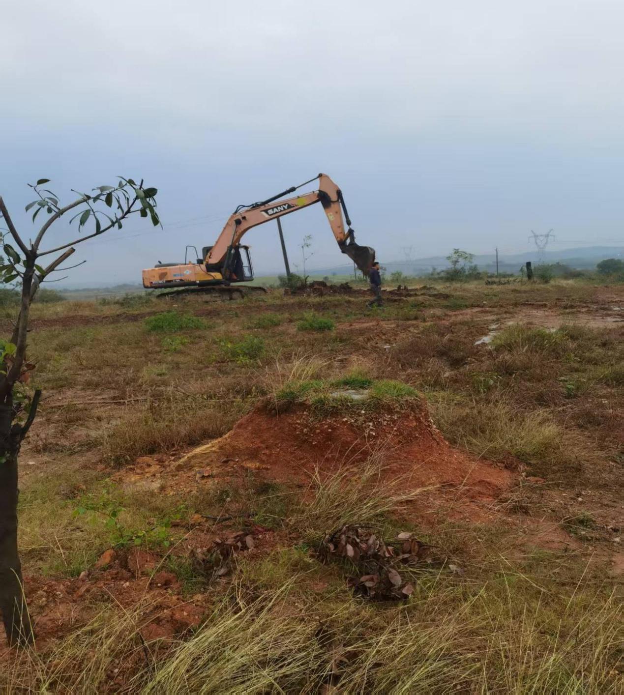 13dba99c15cef58570a21adb538f773