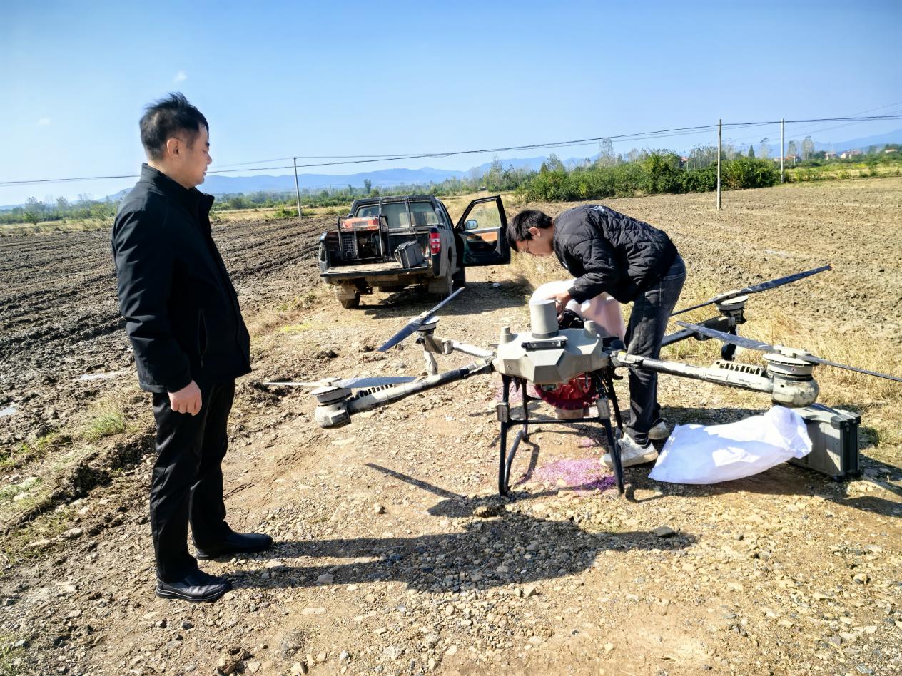 7e260c717537a7a1581246069e3b5fb