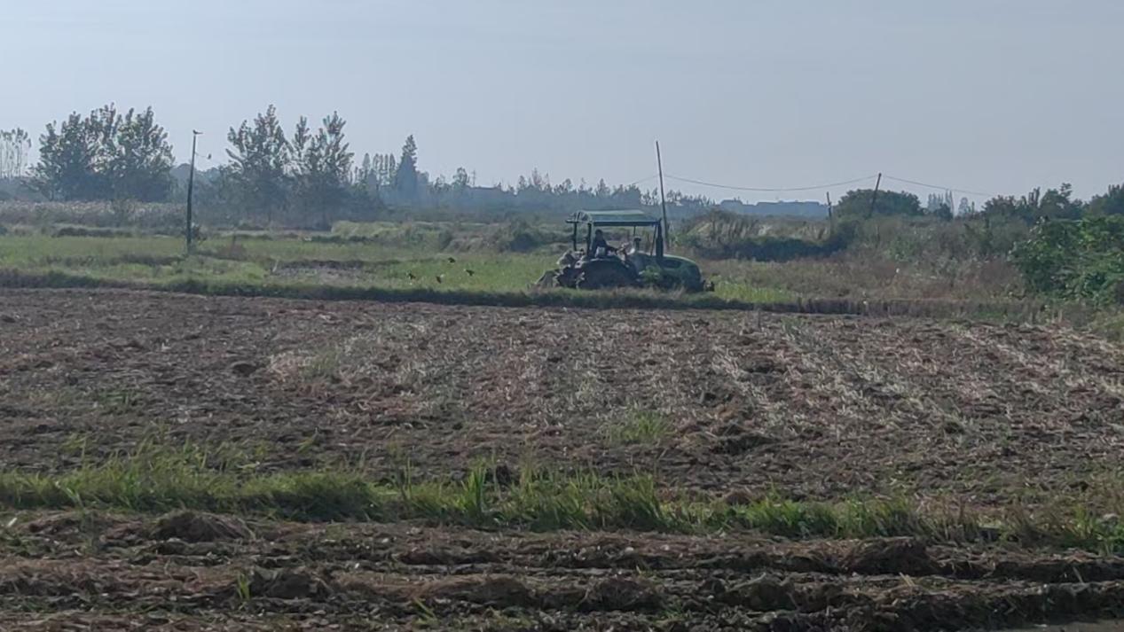 425fa175aa1560989be79b993bdb2d96