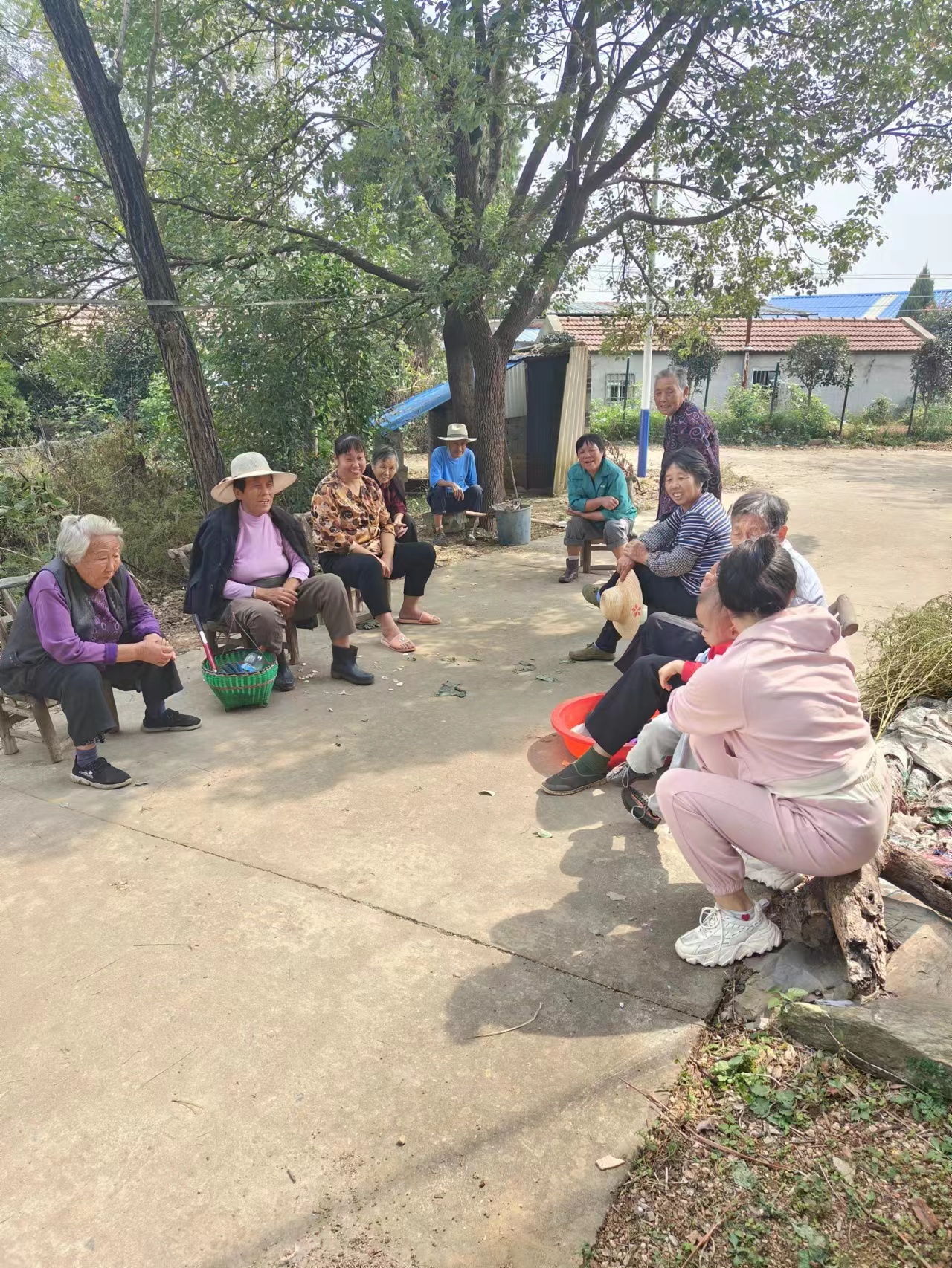 微信图片_20251030141627_482_99