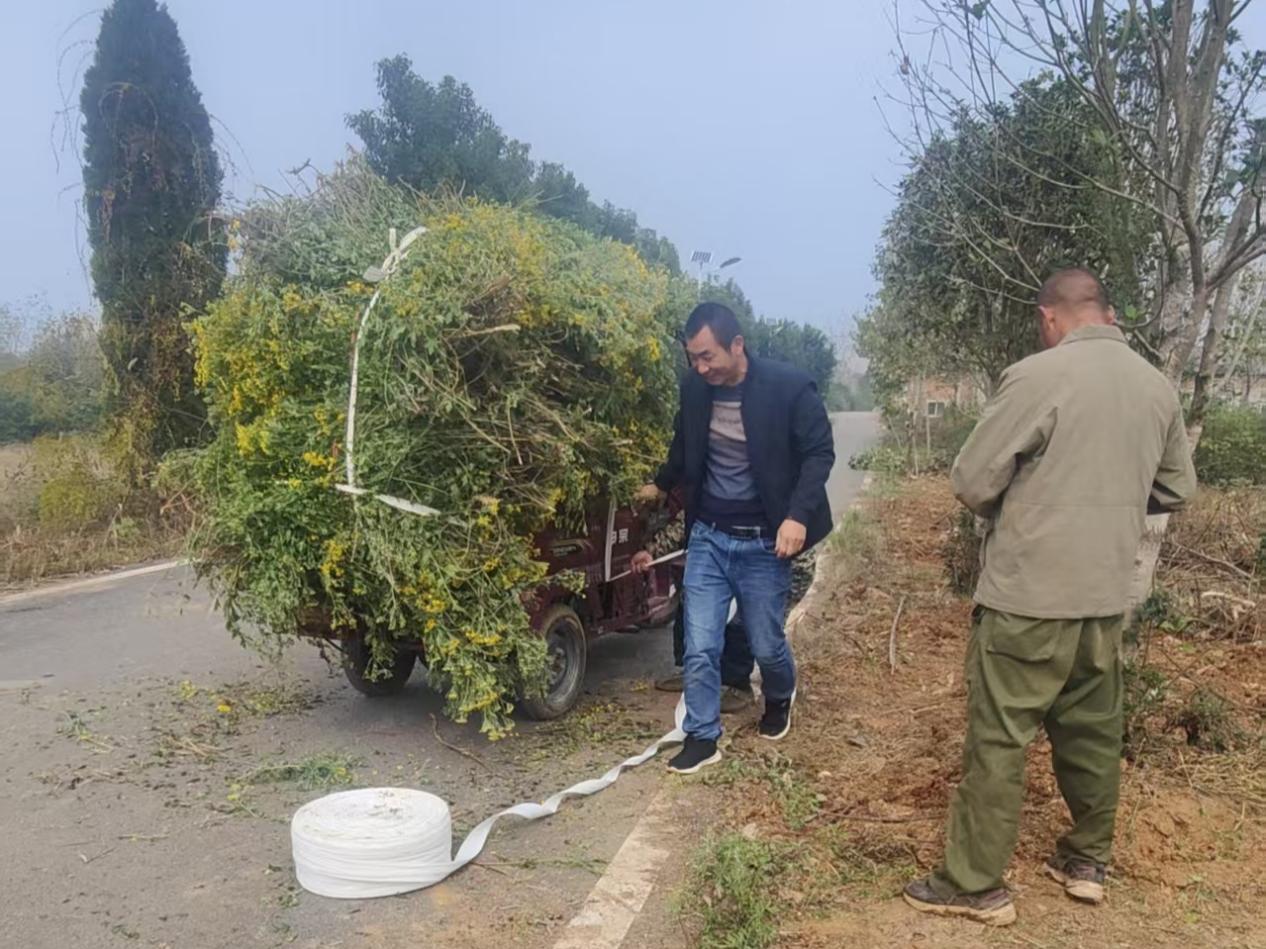 0f60f6f0685af422c5e7b2f6e593cd2