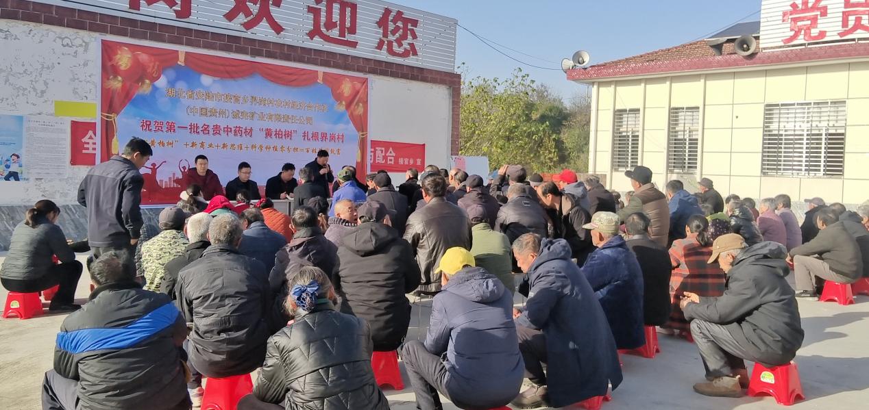 e68924bb3ad7aa89b8f3cf58675d65e1