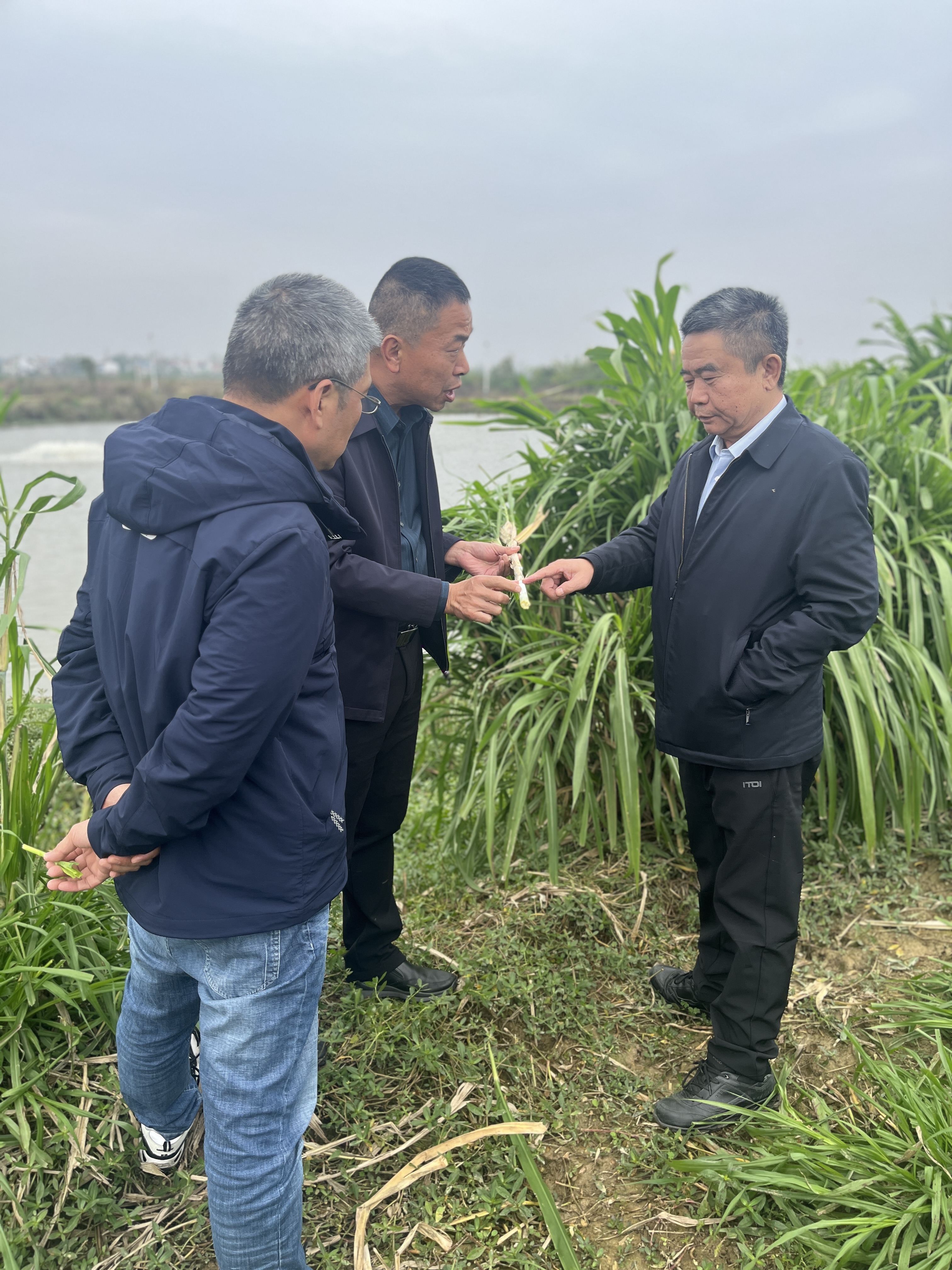 微信图片_20251111090455_398_63