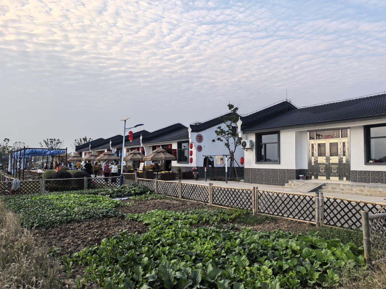 72527195ef87bc802bfff2dcc7493e8f