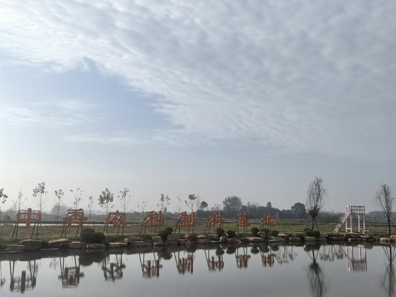 196469630e2c9cef9f25691478deeb94