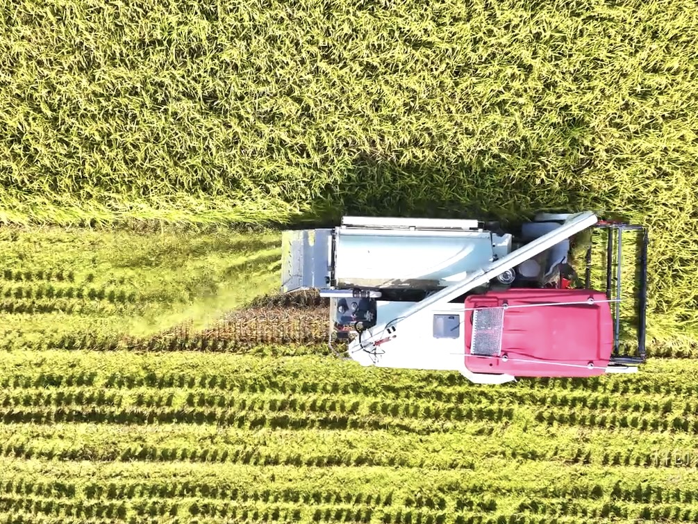 56ccebe8c08e8ea0f0613b5eb0f2cd1d