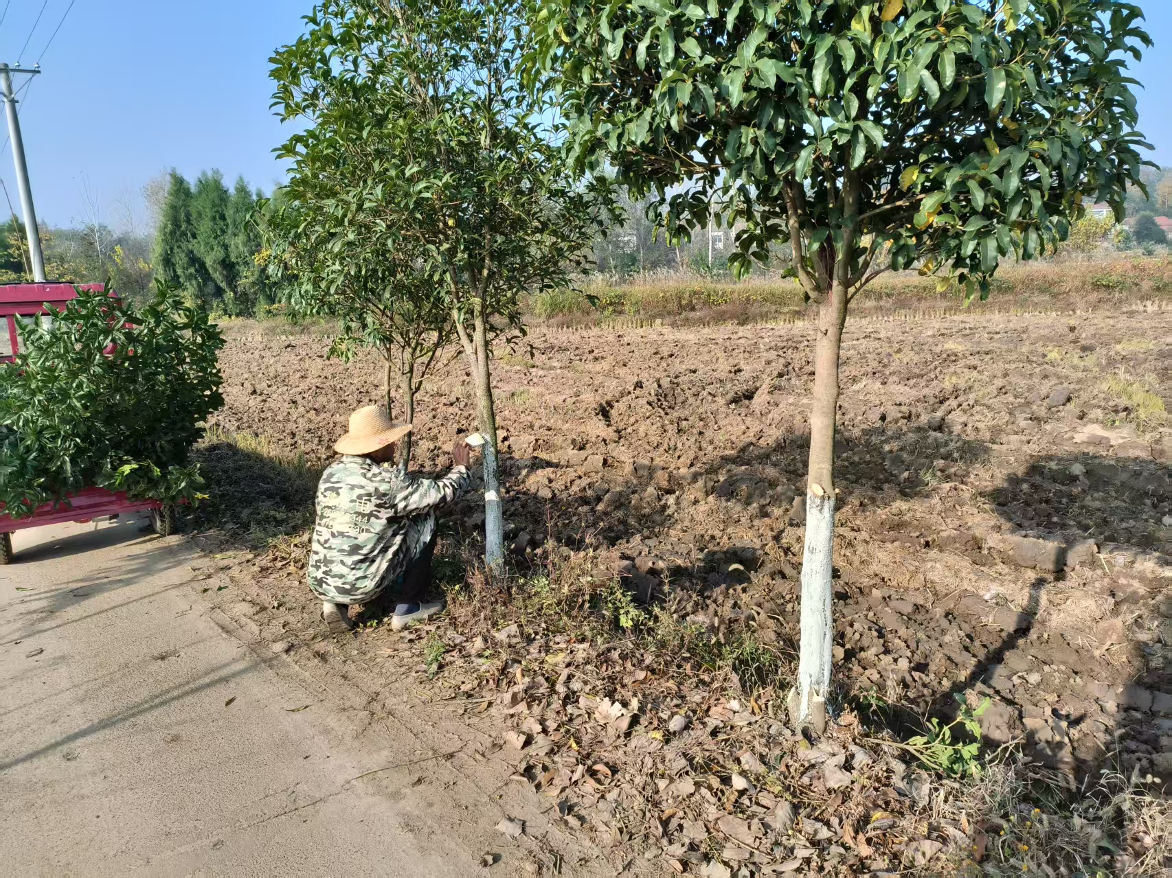 微信图片_20251114095820_266_10