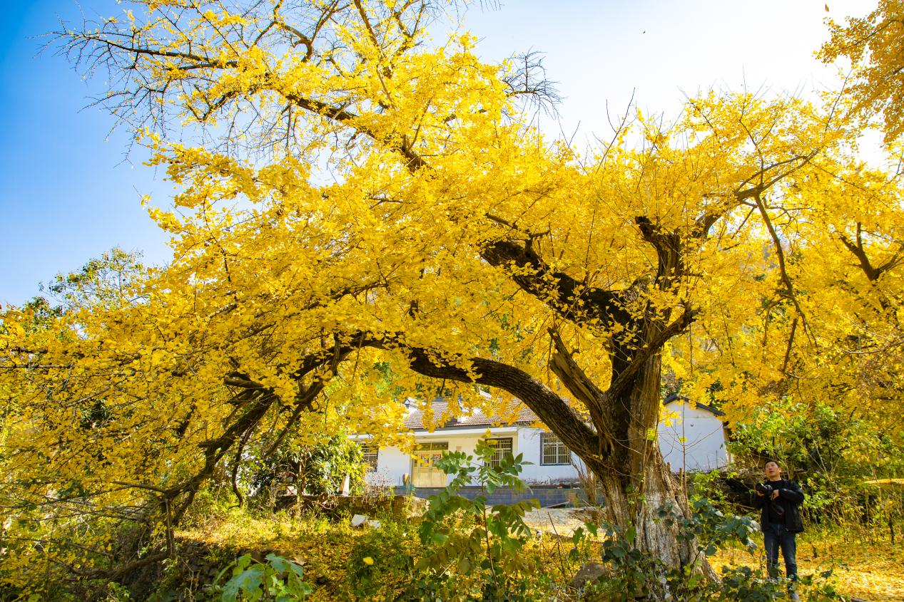 94faa368d4d20d680aa1c4920599a3f1