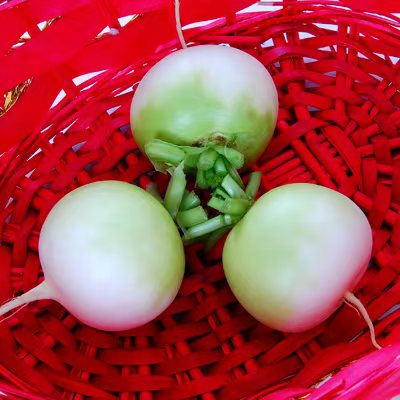 0c738c67ceb76aa502207e20d5c23cc1