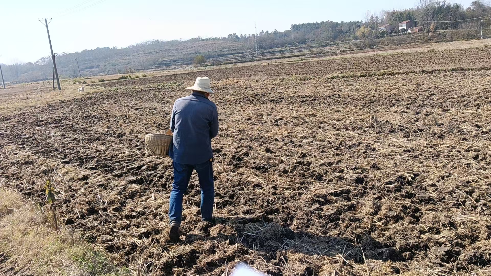 fd898842b4a8d2d1034edd0c678d057a