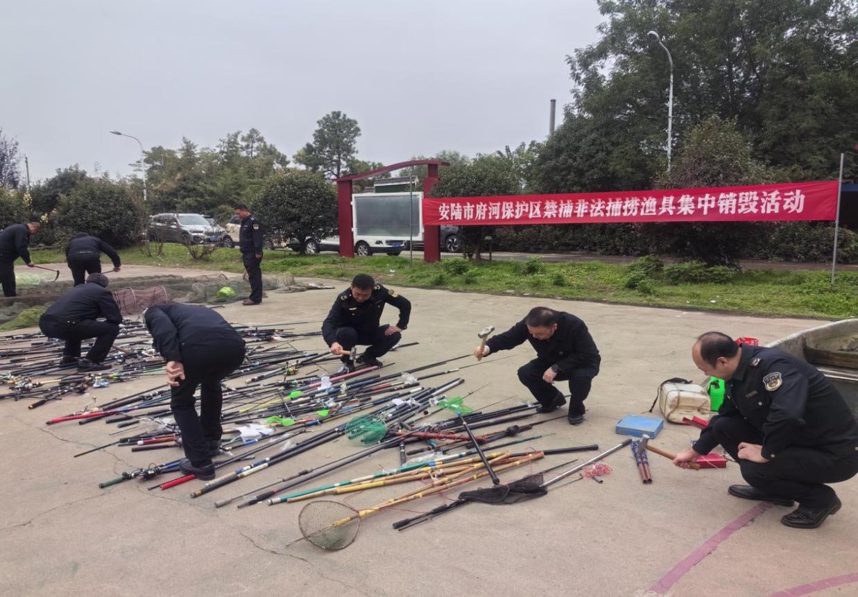 517bd050a5ff6395feeea7065846dec