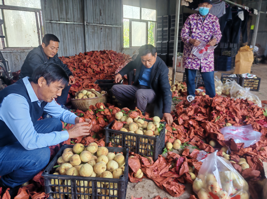 f9a323095b7528dcfd66729a745c3e9