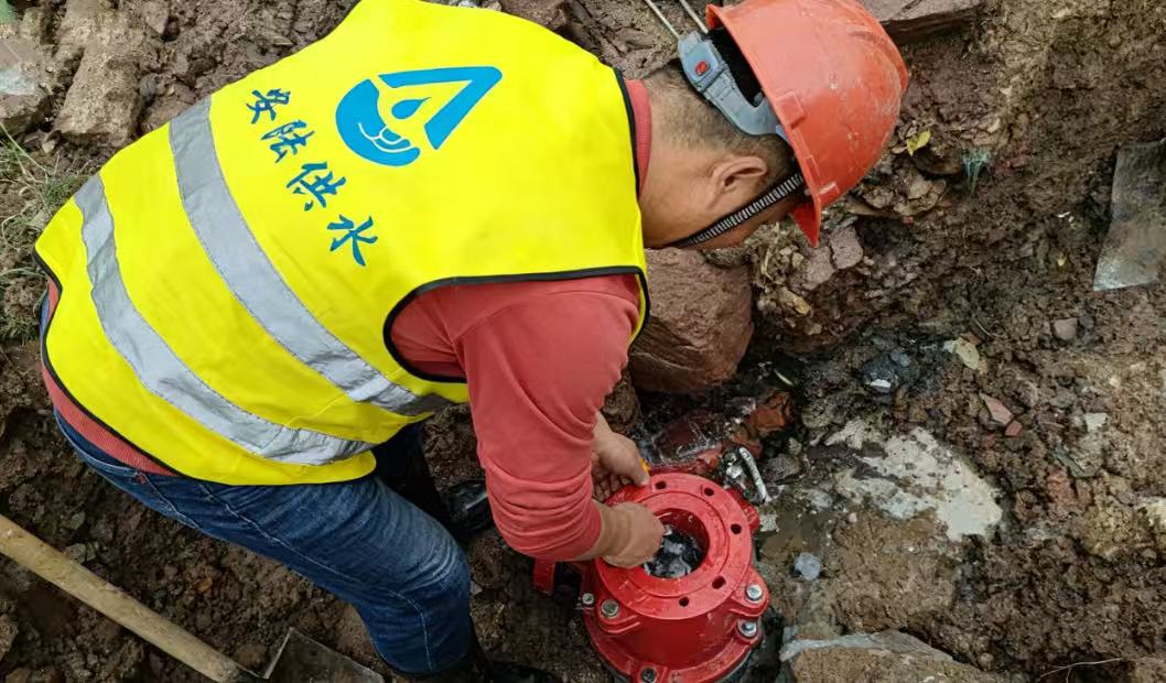 ad1196a6f493a8691c12b5fea9dc7742