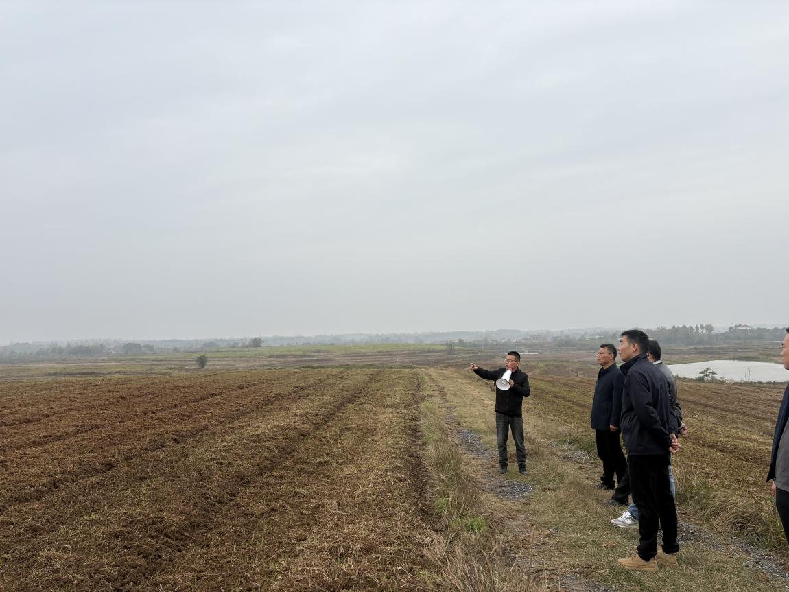 4bf6d2f1183e7fbc898572a98c1ee07b