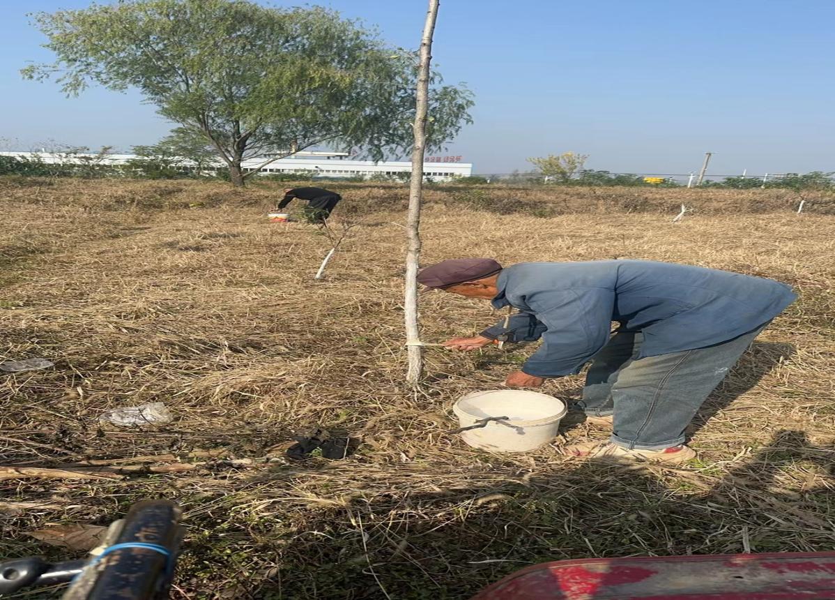 微信图片_20251114102237