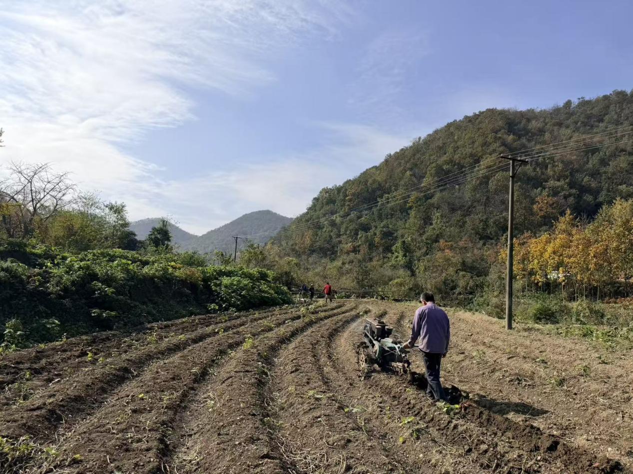 ef248c50d7cf06e3823e8f802406ca1f