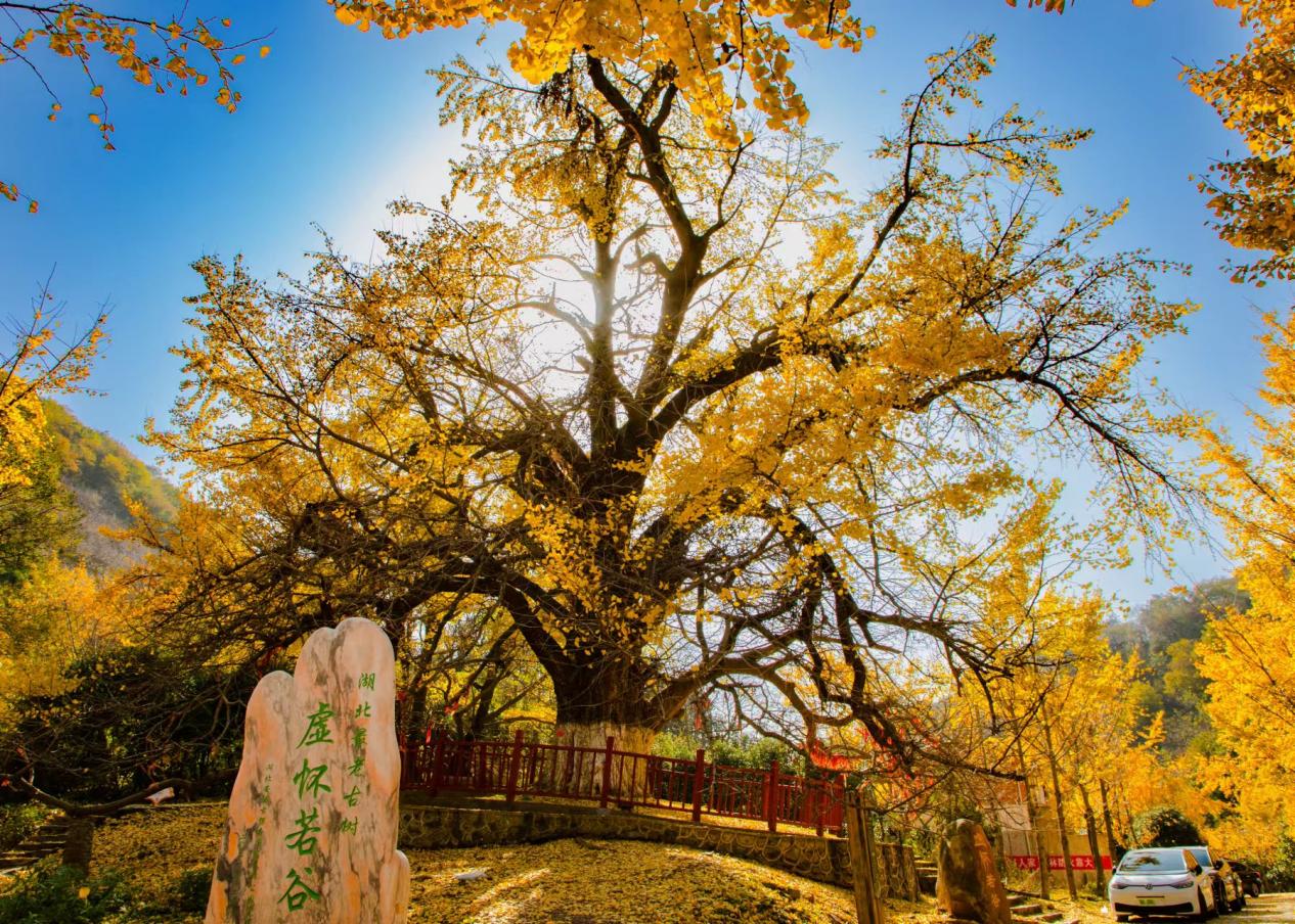 e787df28e79f4b6724d022157843450e