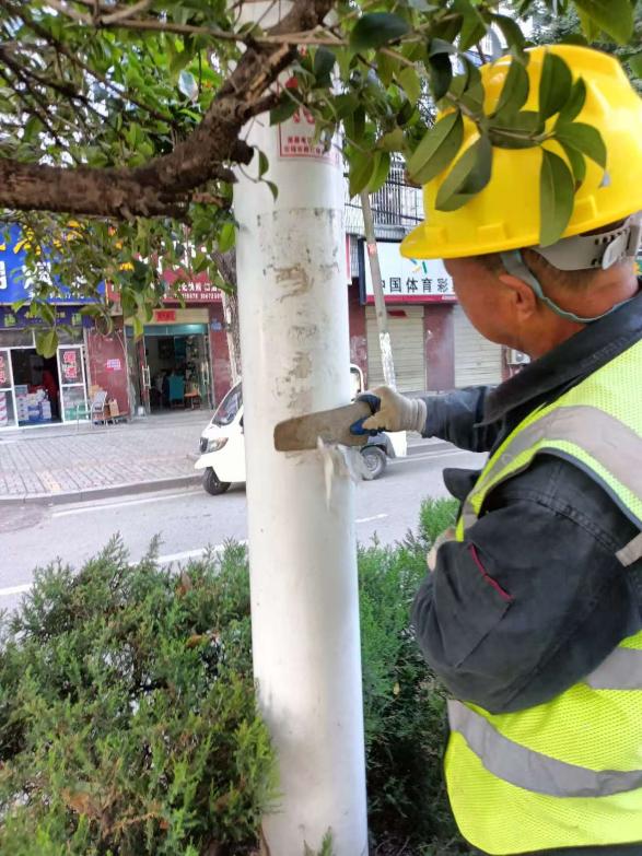 e07a8a37539fcb1ac5d34495ac207918