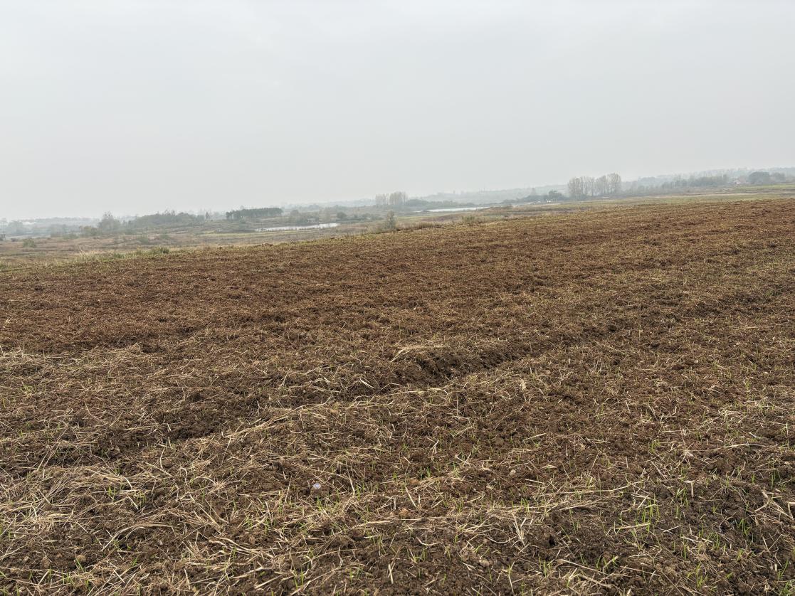 2551a12f41091d4d6a586f8c4a6f93c5