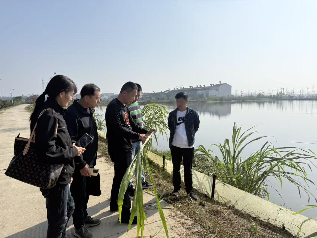 4328819de6ce2e96cda23ce5f68f252d