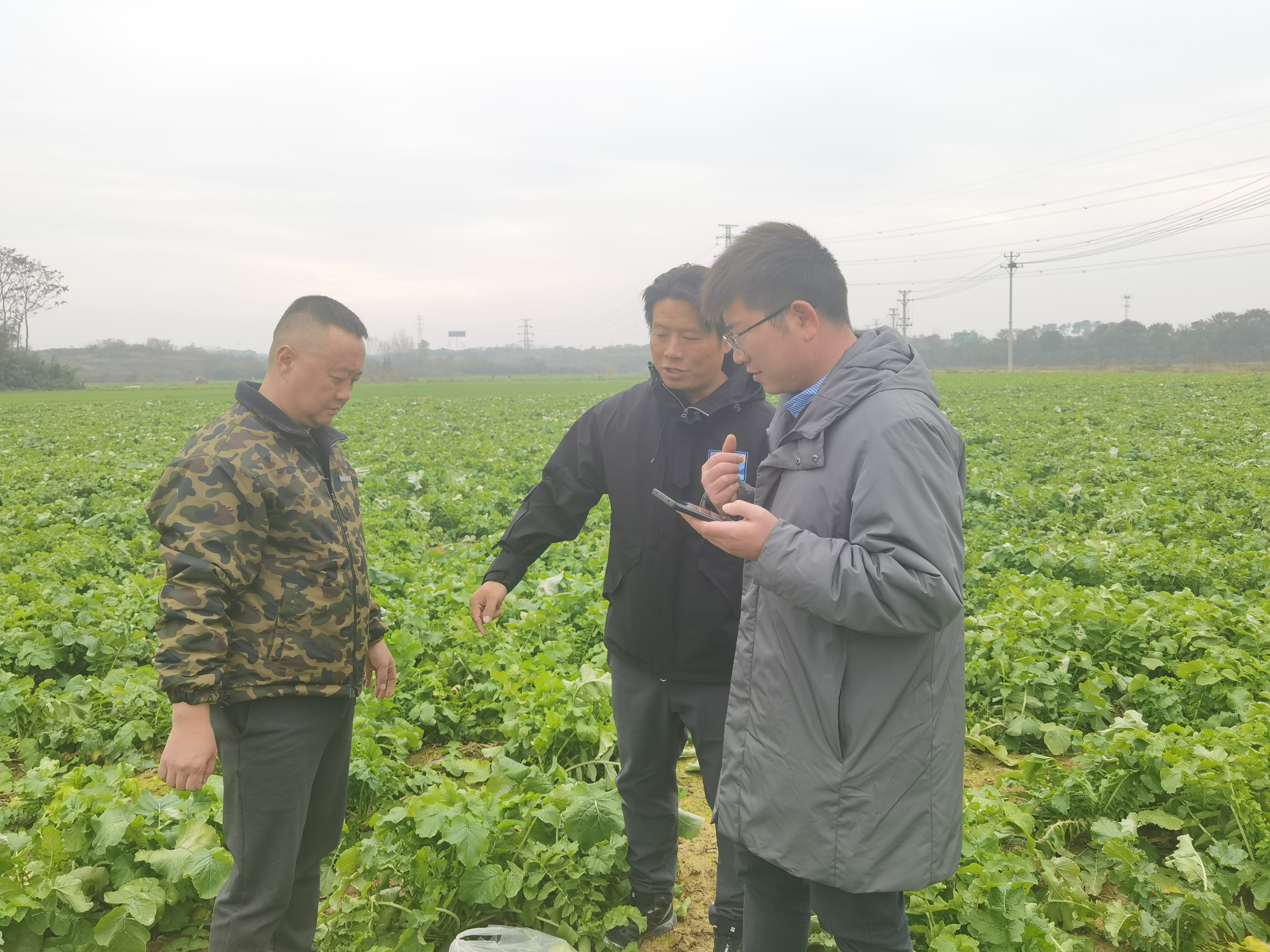 3d44205b4078ac0163313000a3dc67dd