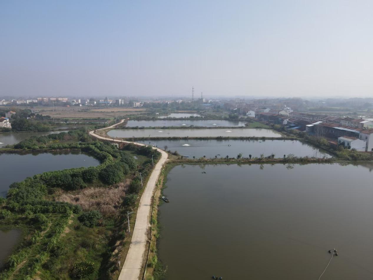 7dde968dca7821be7b22b34bf008ecb0