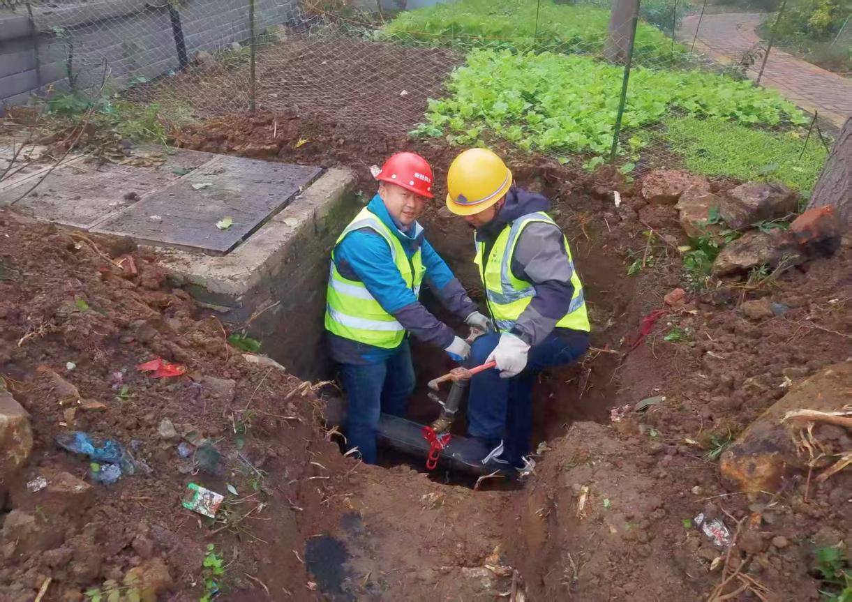 0a6e3fd6f4afcda02f8cf32c51cdfd00