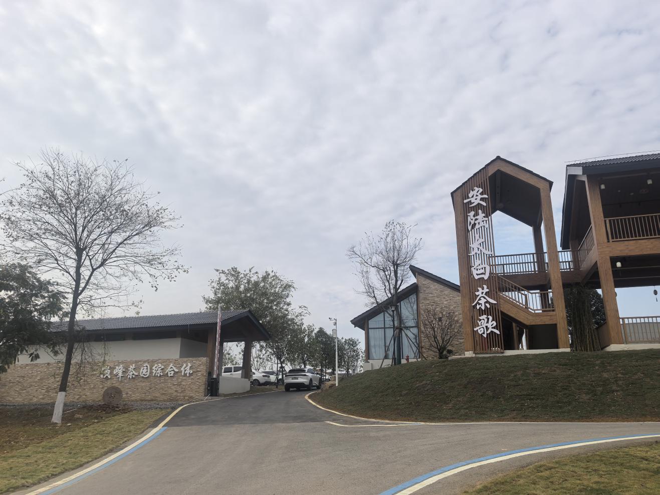 2b5f5274bcafc121e1b26f0244c953af