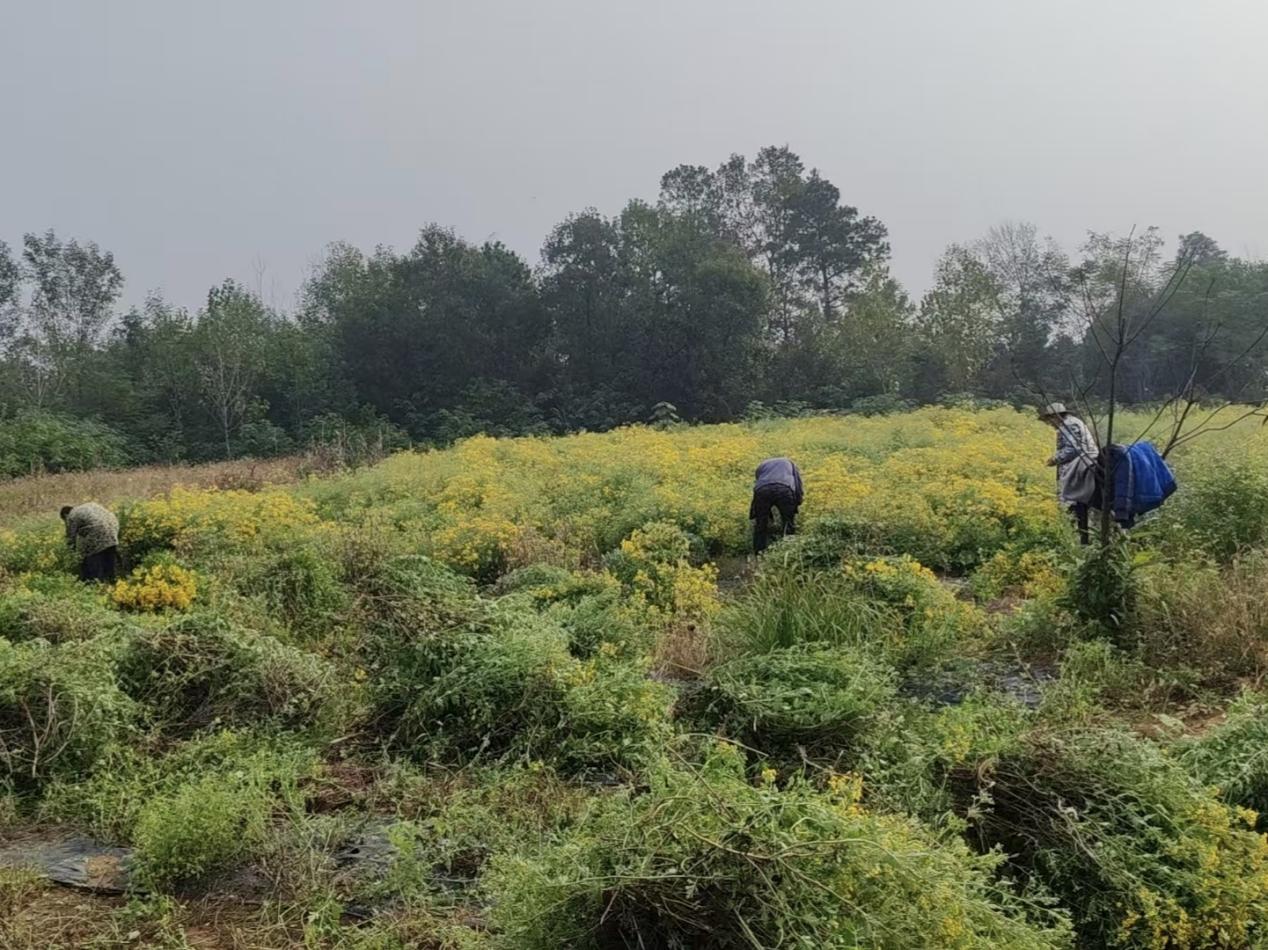 8752ca0a2d6e934a37534eba9a1ec40