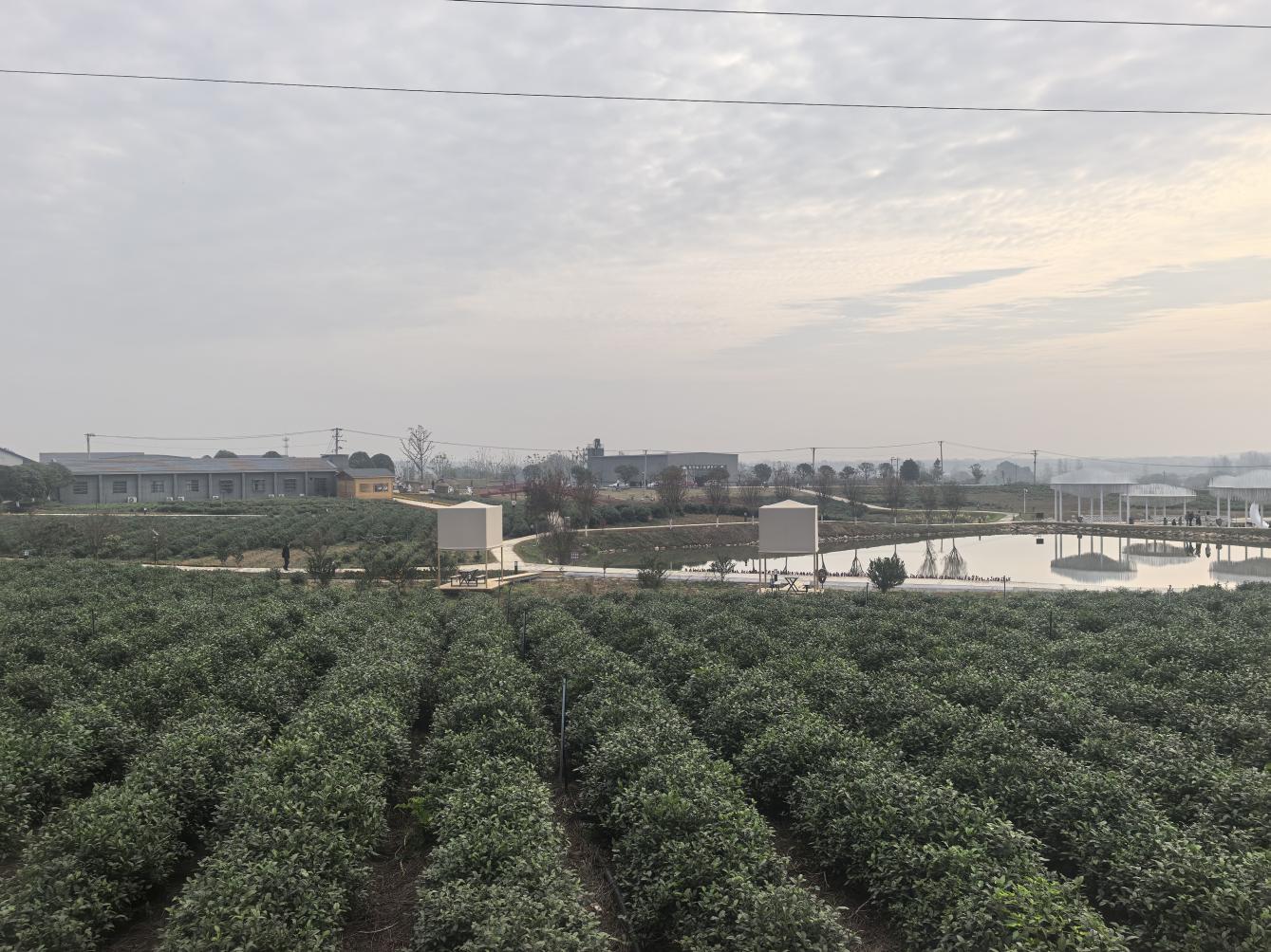 bfdda0b5f9813476af0e6ffa9a7895c3