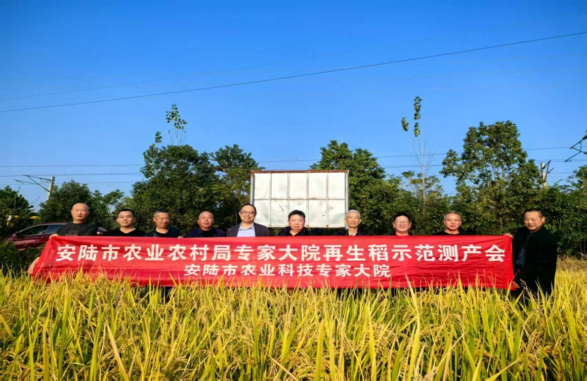 41b1e48b06544a306d059a9fb80690b