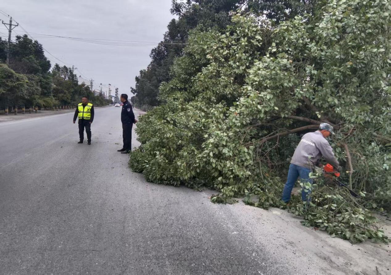 微信图片_20251114085346_243_106