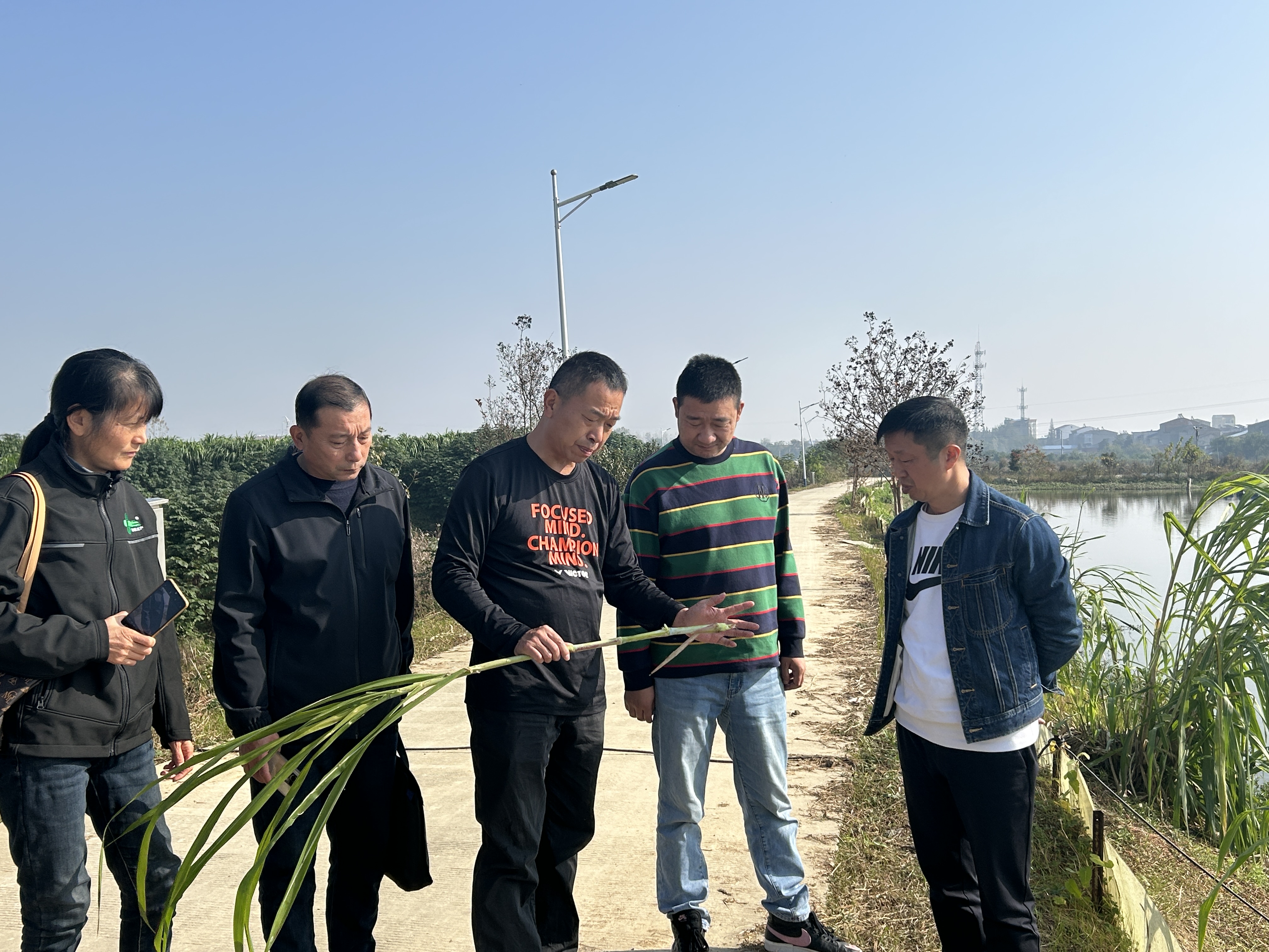 258488f33acc96944d6a8ff691c55217