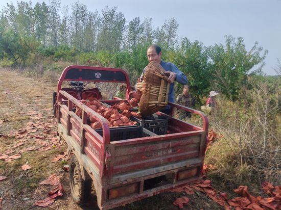 e592aa9e9a4b410a6451b29e2594a4f