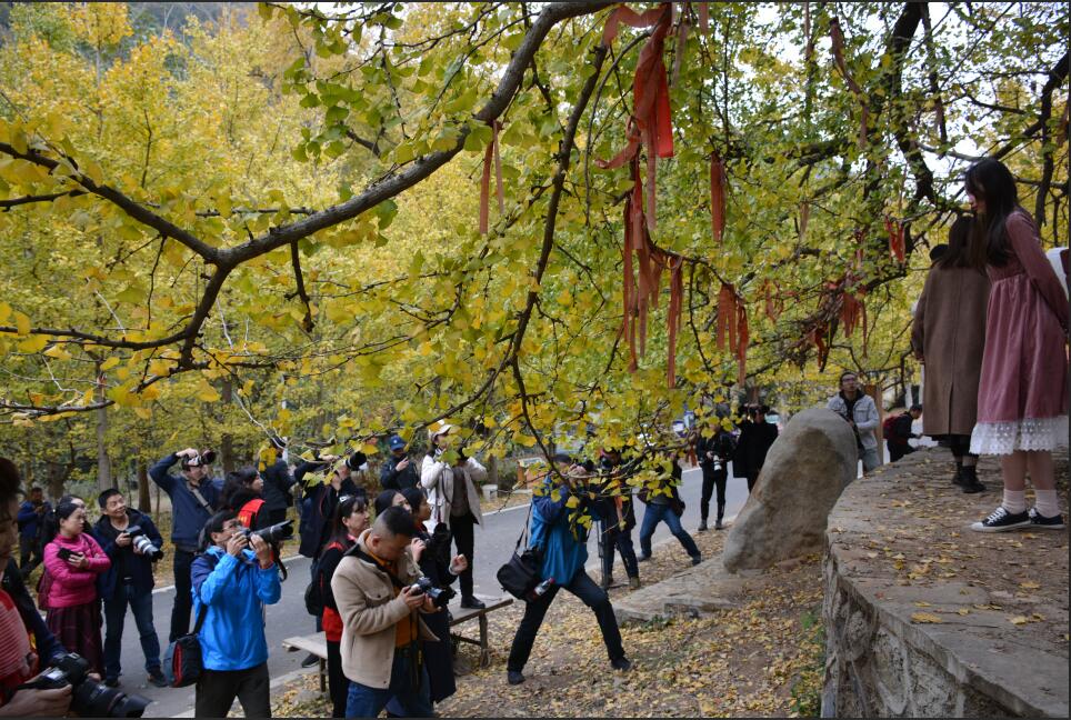 68f5b622a6238236009bb6e900ff13b