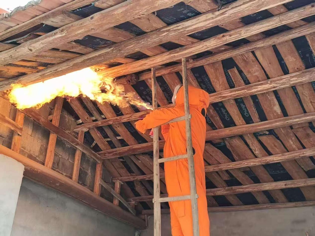 c58e5871163a19c3169ea9444f5c5cc