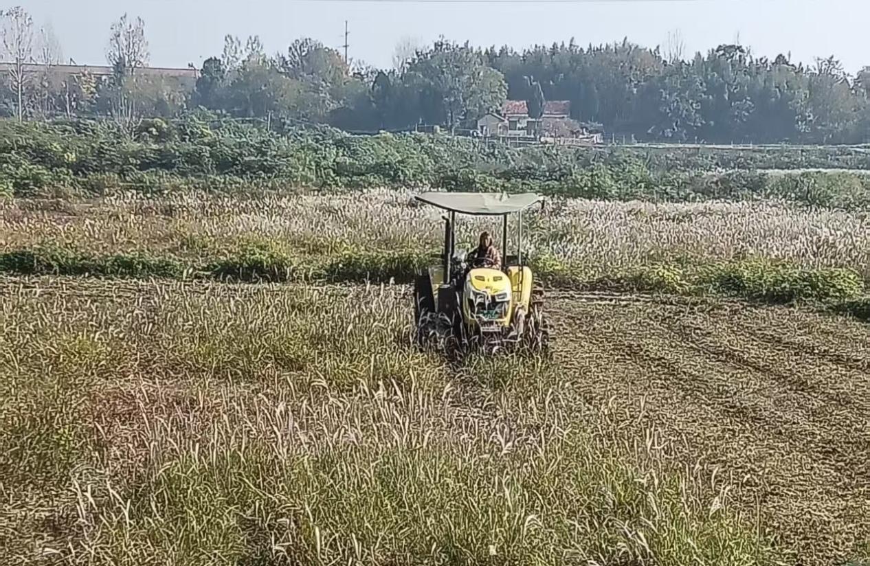 d528d909493b8954ba39655e547c3cc