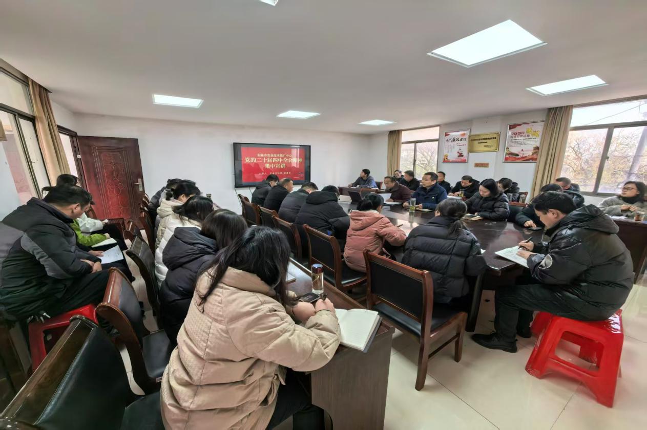 340d83d1696eb88d218b6fb58b50717a