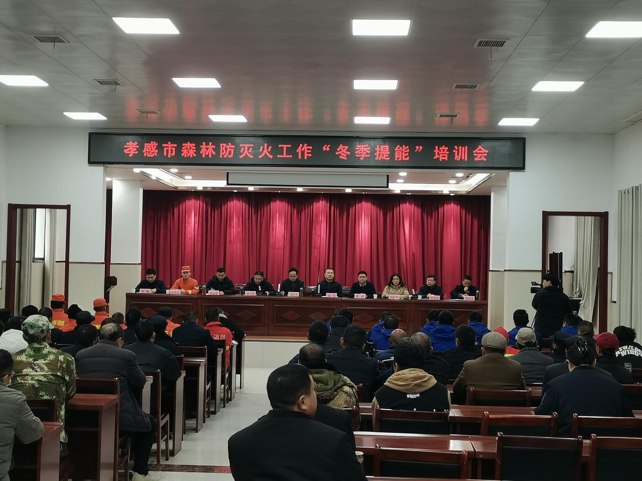 924e16a5ab202a570e0b16778ddc3d77